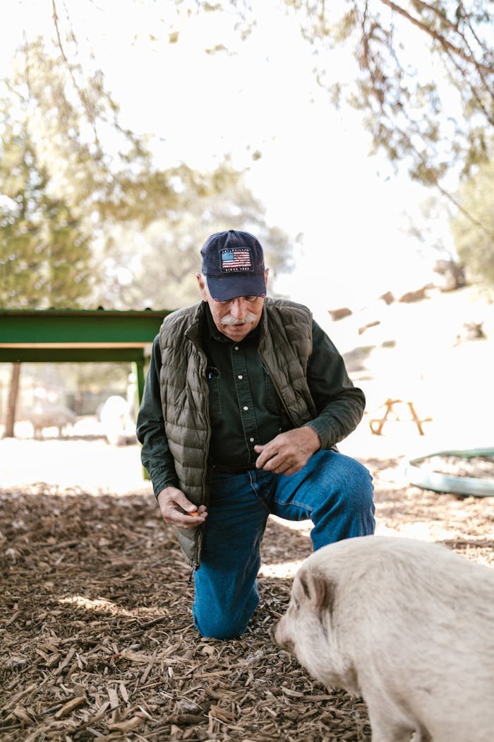 A farmer in denim and gilet feeds a piglet outdoors under trees on a sunny day.